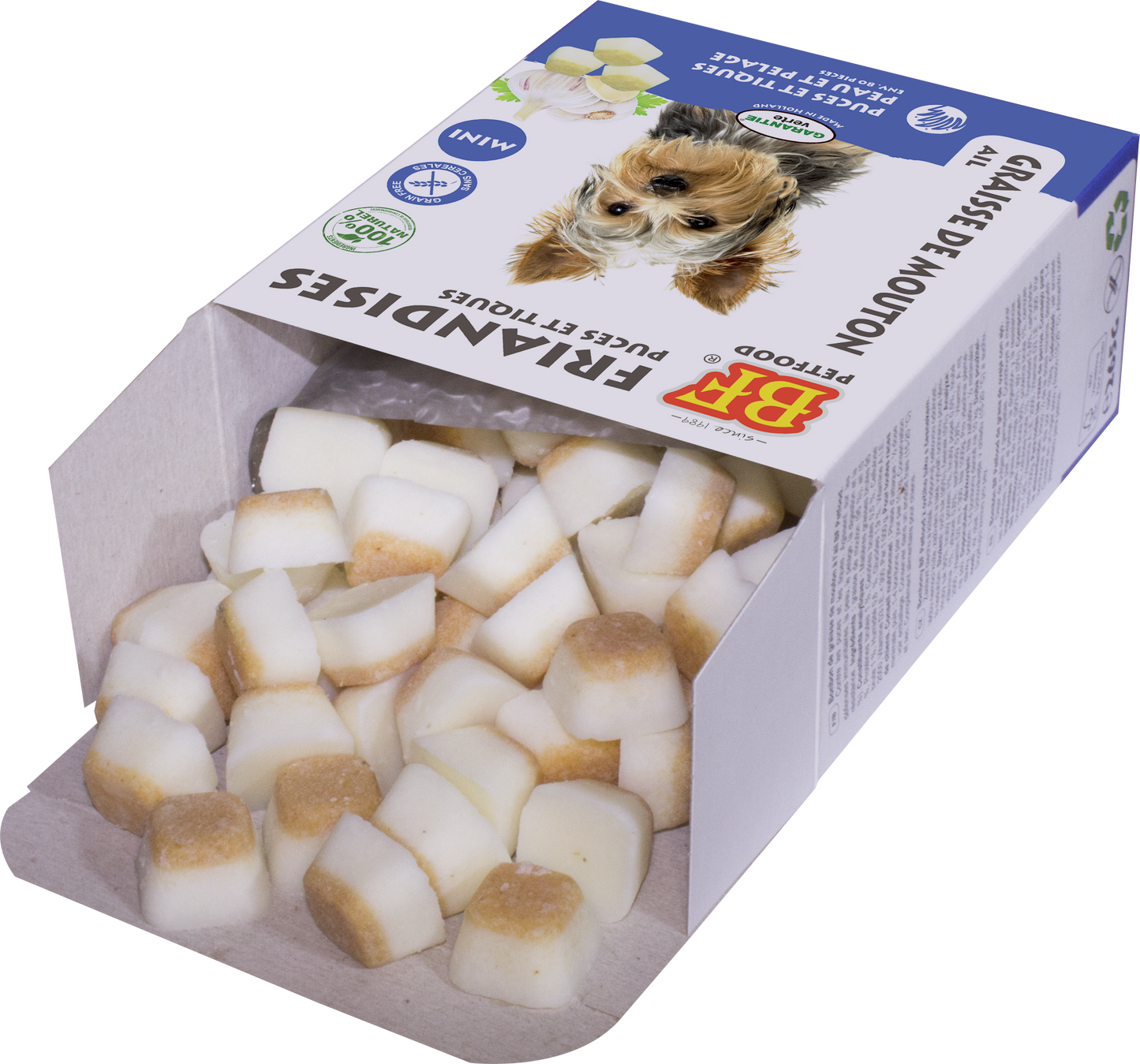 Sheep Fat Garlic Mini