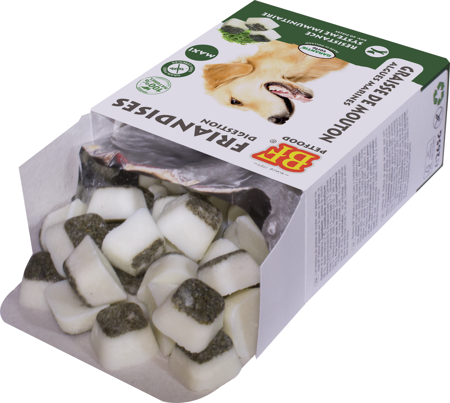 Algues grasses de mouton