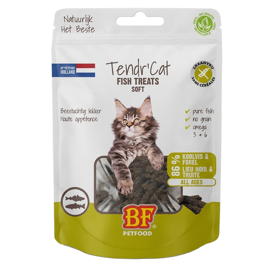 Tendr’ Cat – Lieu noir et truite