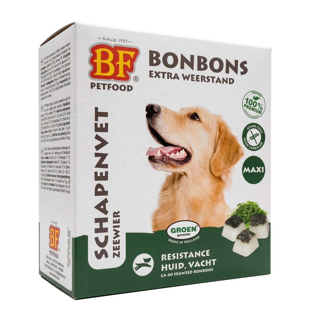 Algues grasses de mouton