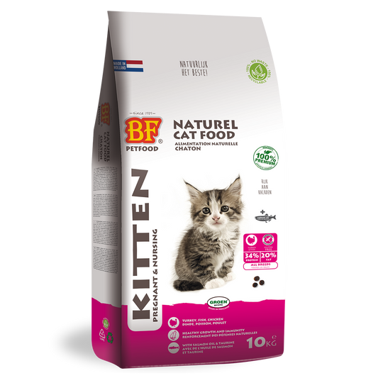 Kitten - Pregnant/Nursing