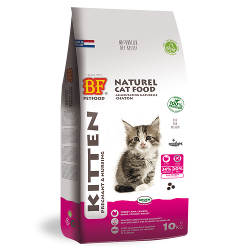 Kitten - Pregnant/Nursing