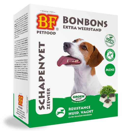 Sheep Fat Seaweed Mini